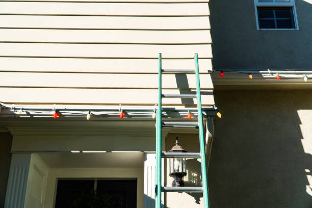 Best Steel Siding Installation  in De Motte, IN