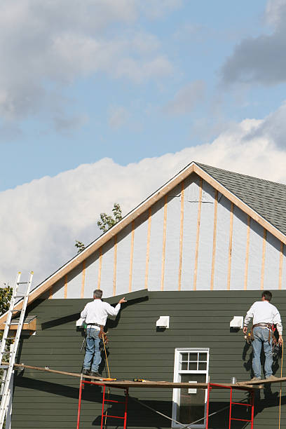 Best Vinyl Siding Installation  in De Motte, IN